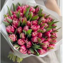 Pavasara tulpju mix - dažādu krāsu tulpes